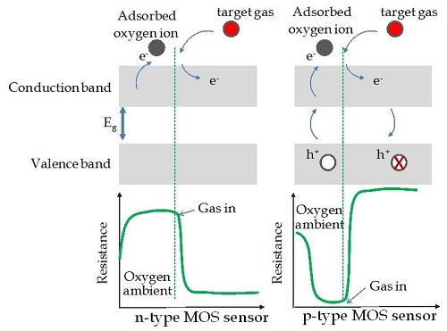 Carbon-based Gas Sensor Mechanism