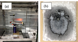 Fire Retardant Geopolymer Nanocomposite Binder Based Local Rice Husk