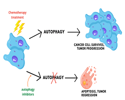 Autophagy as a New Target: Chitosan Nanoparticles as Delivery Systems to Enhance Current Anticancer Biologics