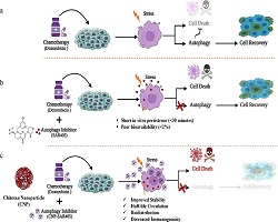 Increased efficacy of biologics following inhibition of autophagy in A549 lung cancer cells in bimodal treatment of doxorubicin and SAR405-loaded chitosan nanoparticles