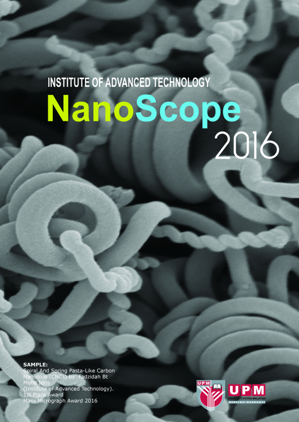 NanoScope 2016
