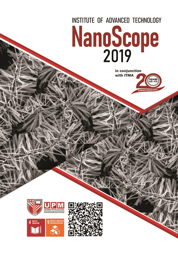 NanoScope 2019